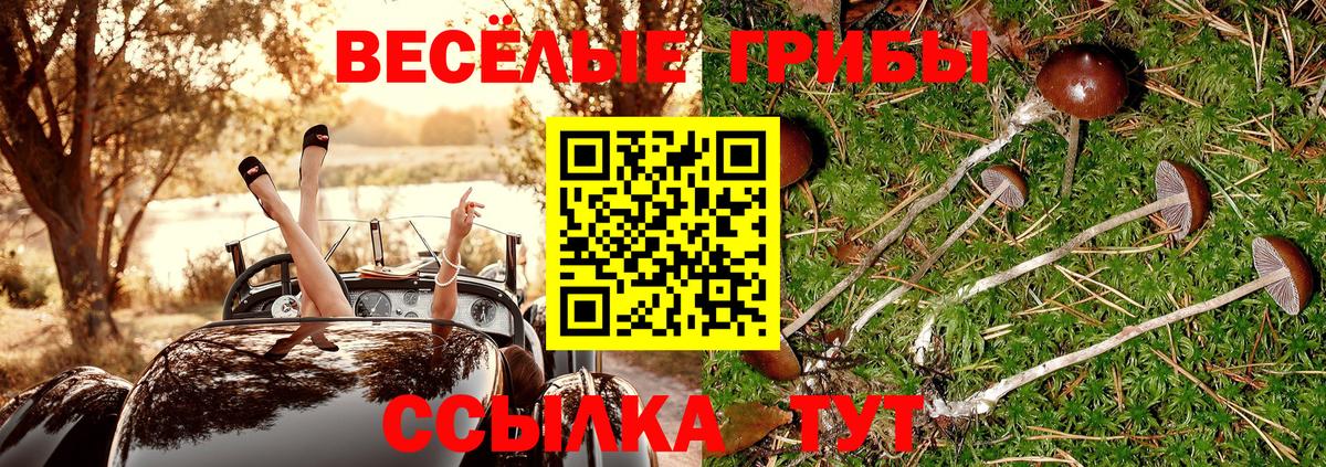 Галлюциногенные грибы GOLDEN TEACHER Майский