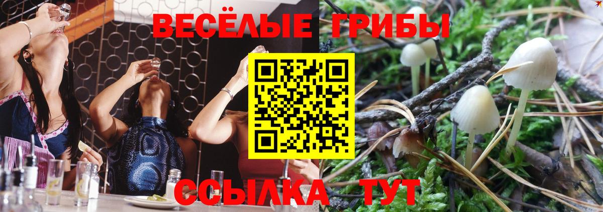 Майский  Галлюциногенные грибы мицелий  Вход с VPN 